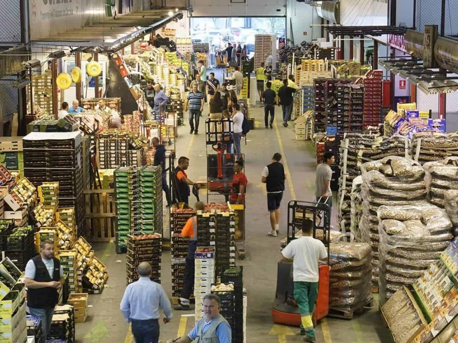 industria alimenticia